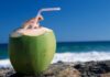 6 benefícios da água de coco para a saúde