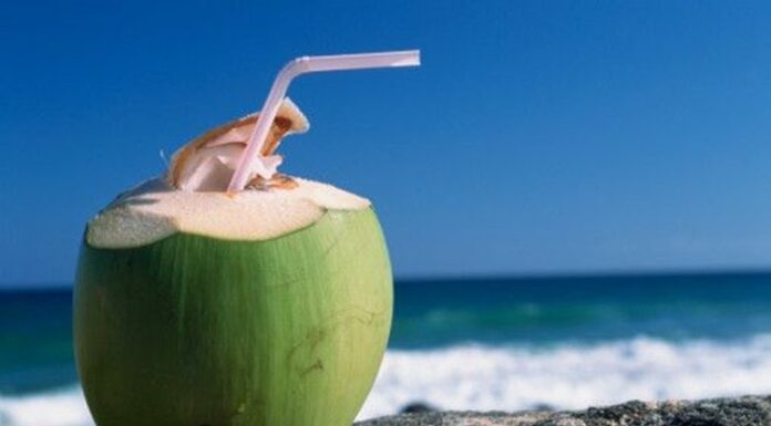 6 benefícios da água de coco para a saúde