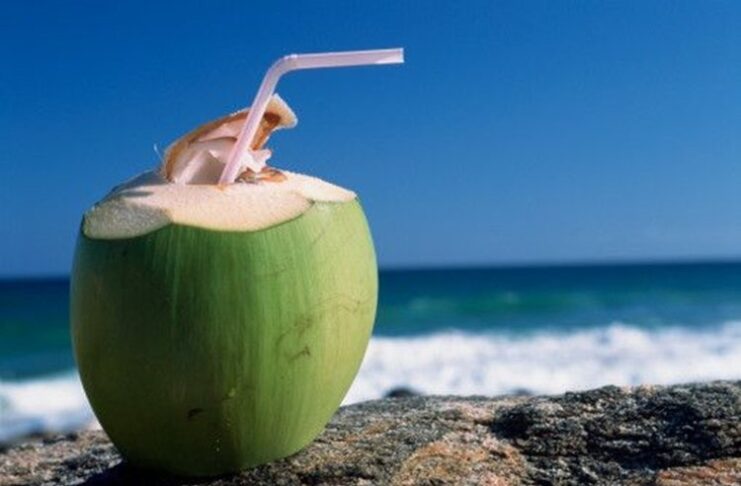 6 benefícios da água de coco para a saúde